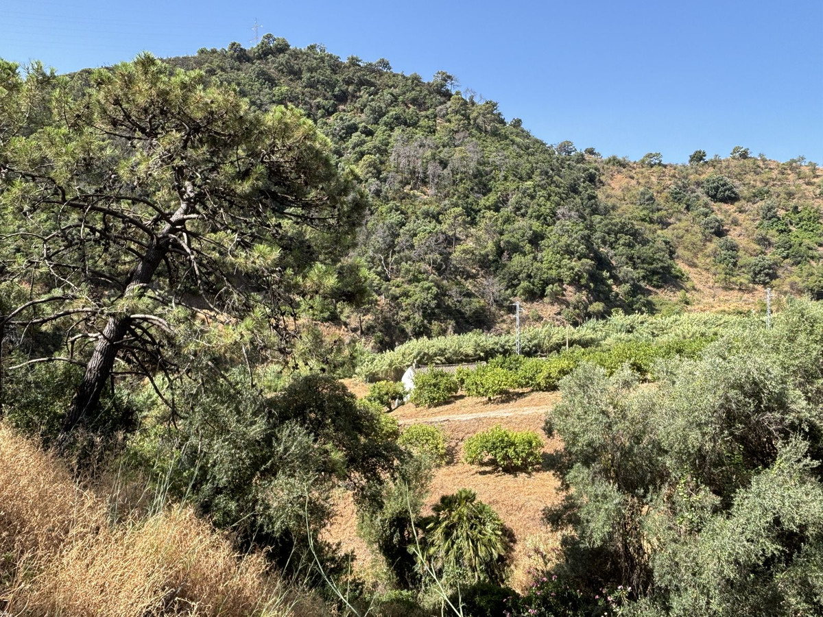 Grond te koop in El Padron | 0 slaapkamers H5082952