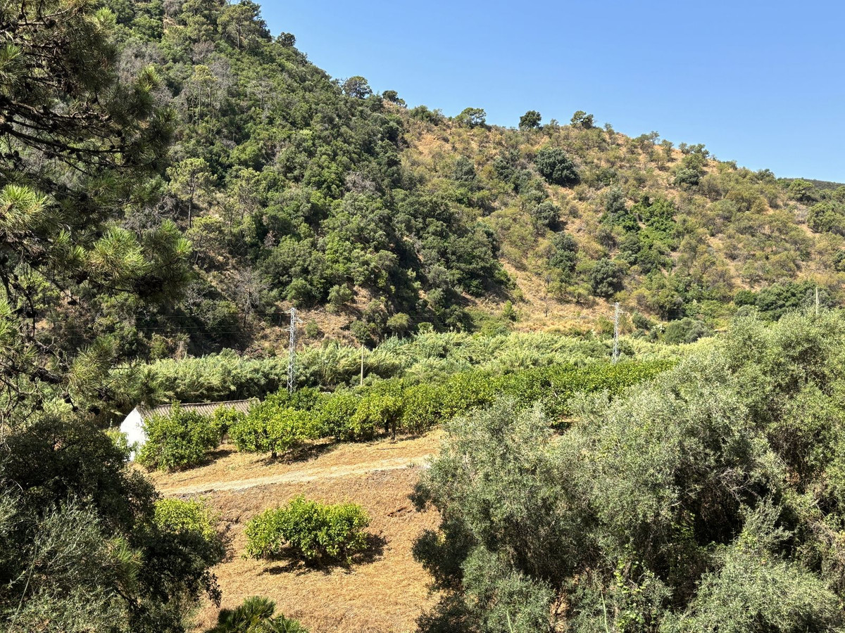 Grond te koop in El Padron | 0 slaapkamers H5082952