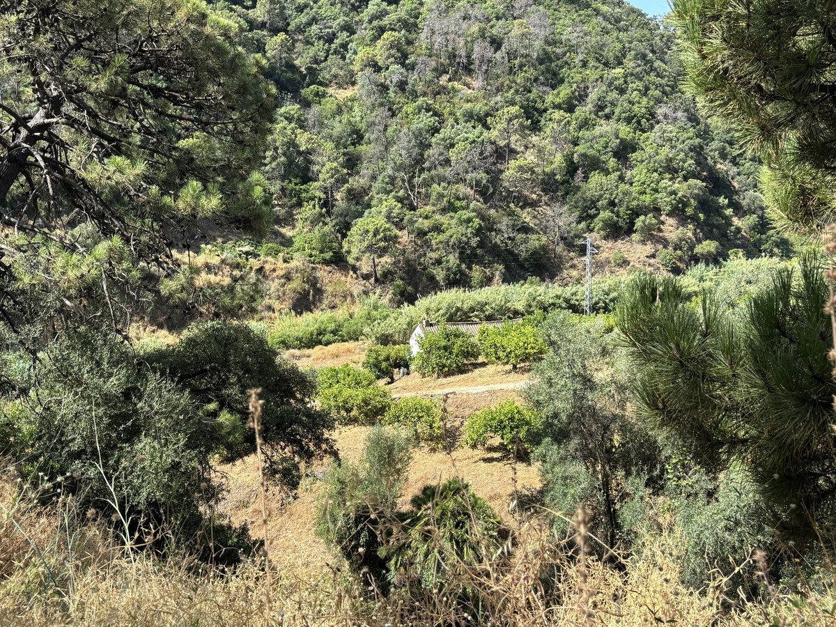 Grond te koop in El Padron | 0 slaapkamers H5082952