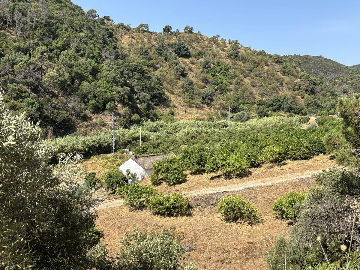 Grond te koop in El Padron | 0 slaapkamers H5082952