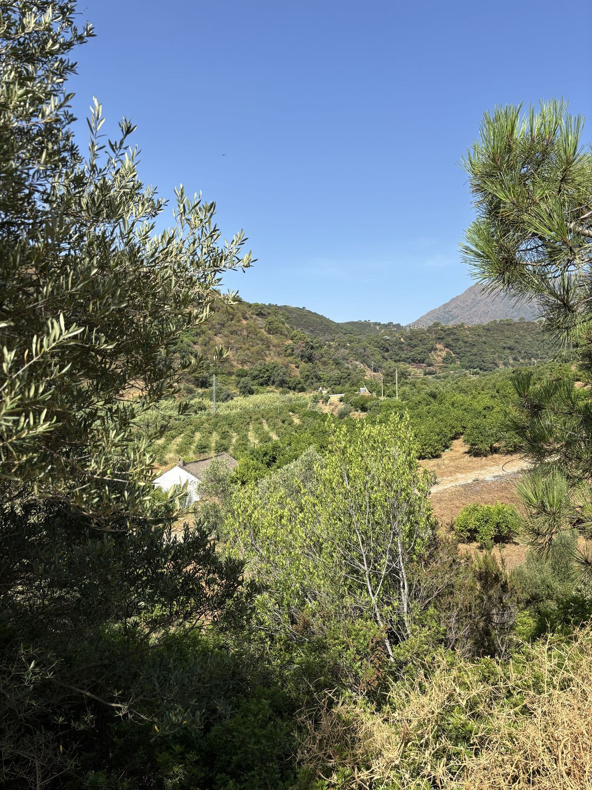 Grond te koop in El Padron | 0 slaapkamers H5082952