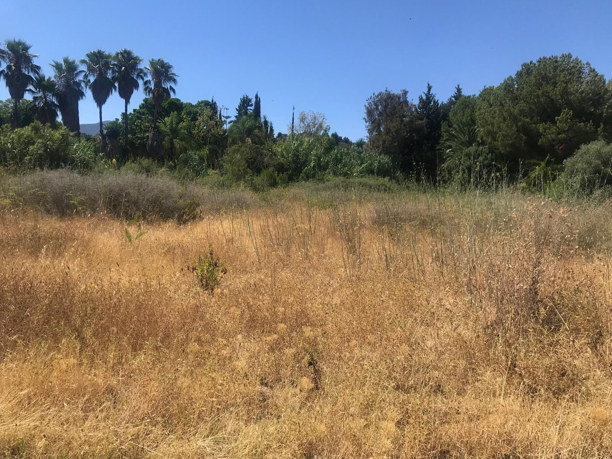 Property main view 3