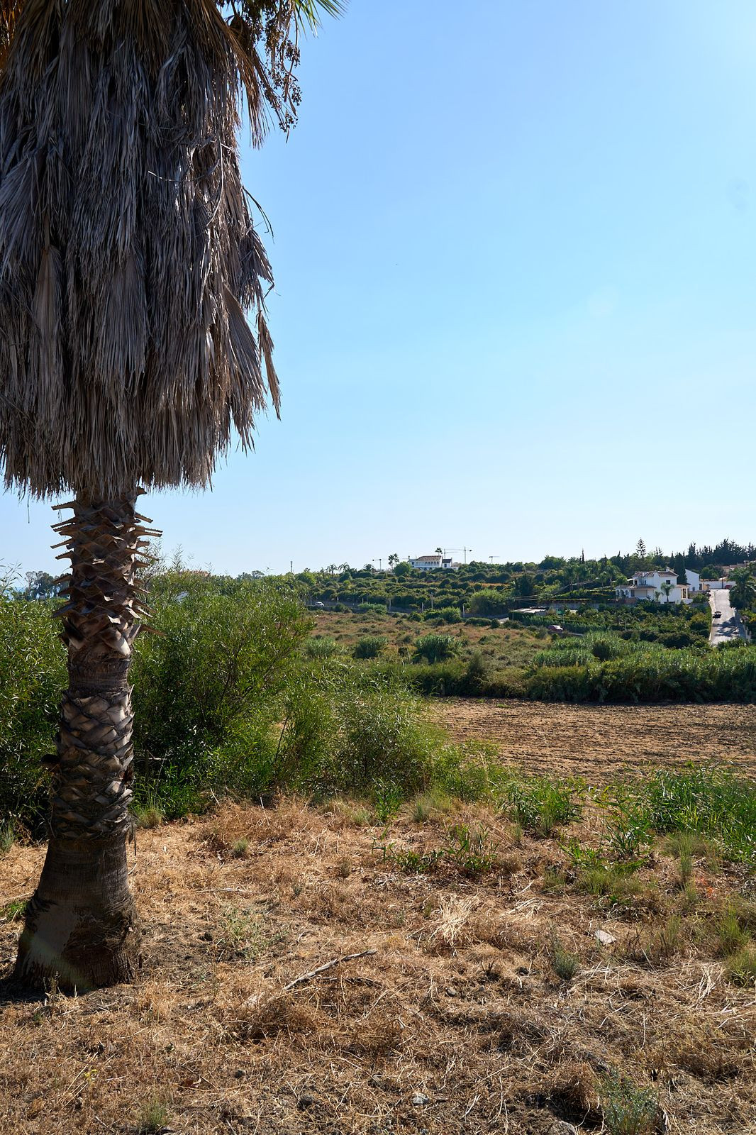 Property main view 8