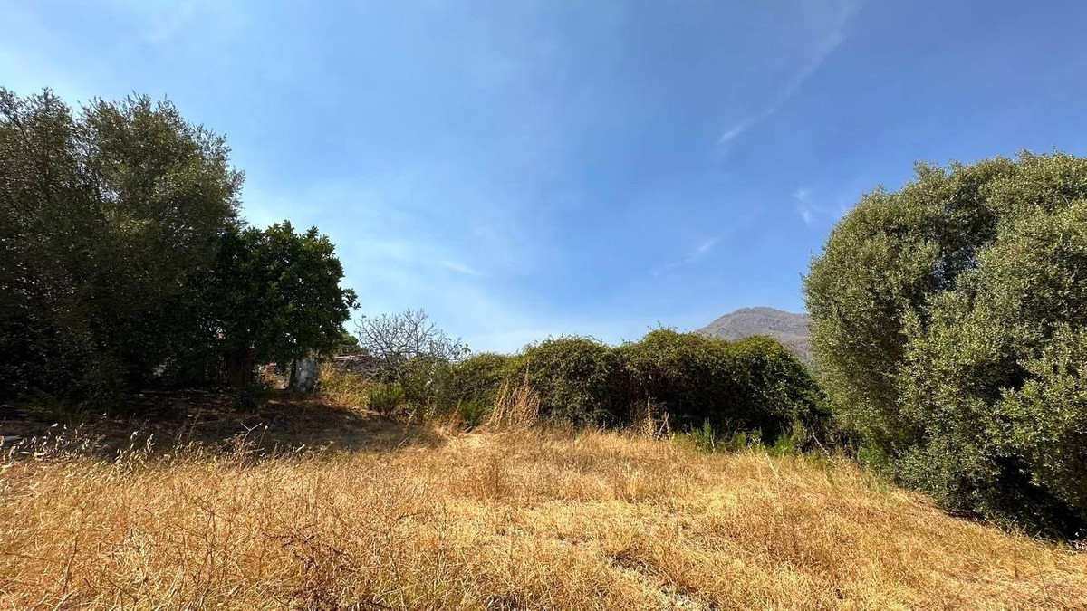 Property main view 3