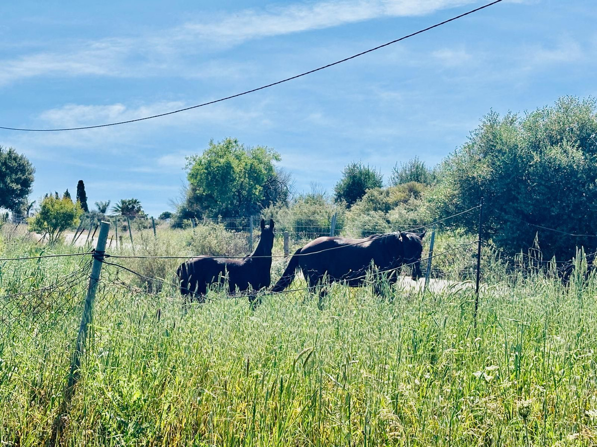 Grond te koop in Estepona | 0 slaapkamers H5374162