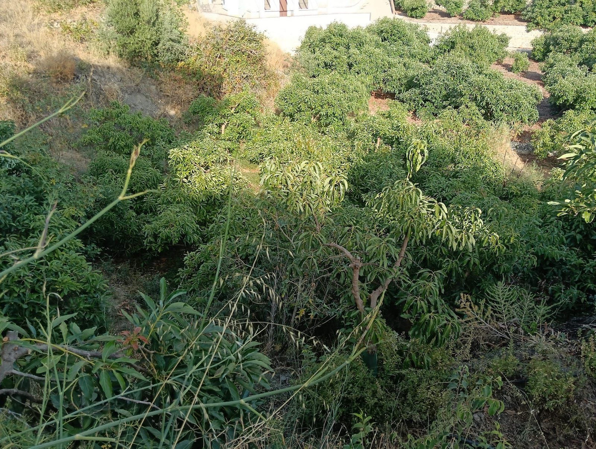 Grond te koop in Frigiliana | 0 slaapkamers H5244268