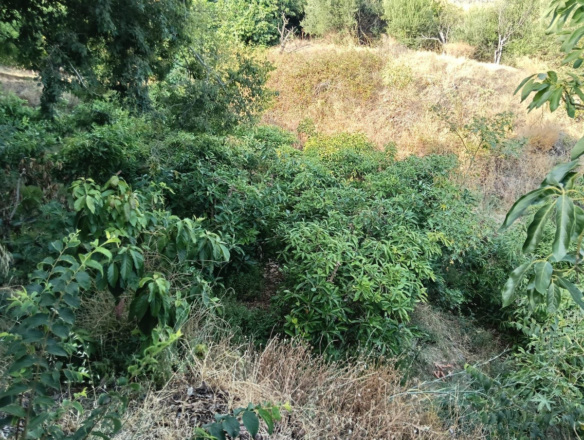 Grond te koop in Frigiliana | 0 slaapkamers H5244268