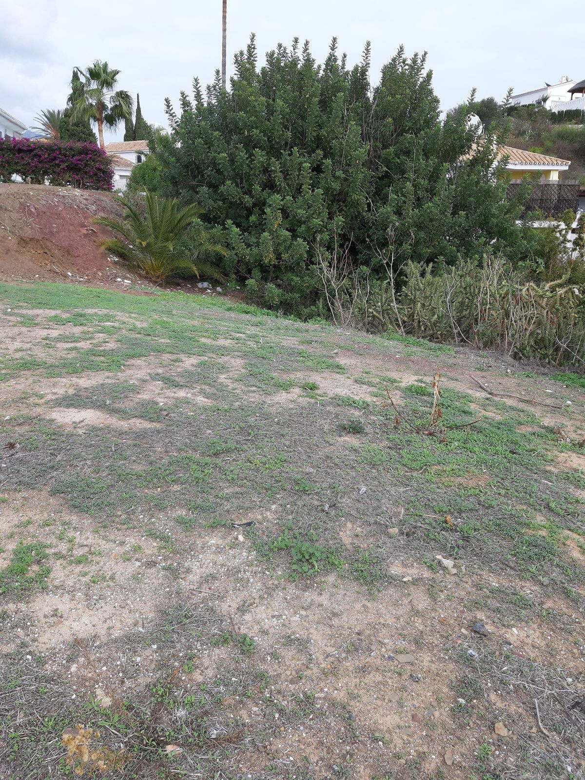 Property main view 12