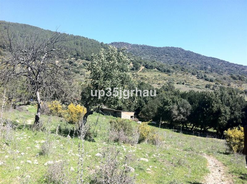 Property main view 10