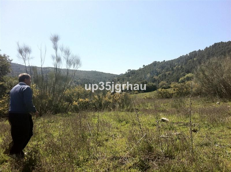 Property main view 15