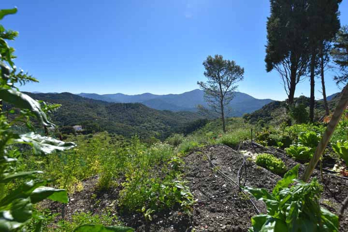 Percelen te koop in Gaucín | 0 slaapkamers H5015035