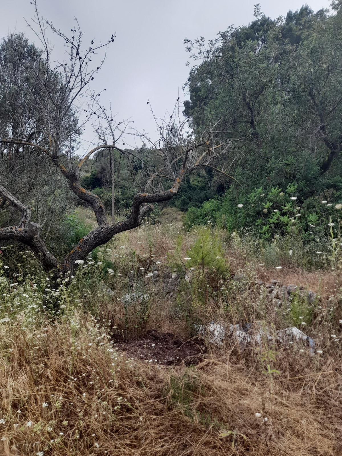 Property main view 12