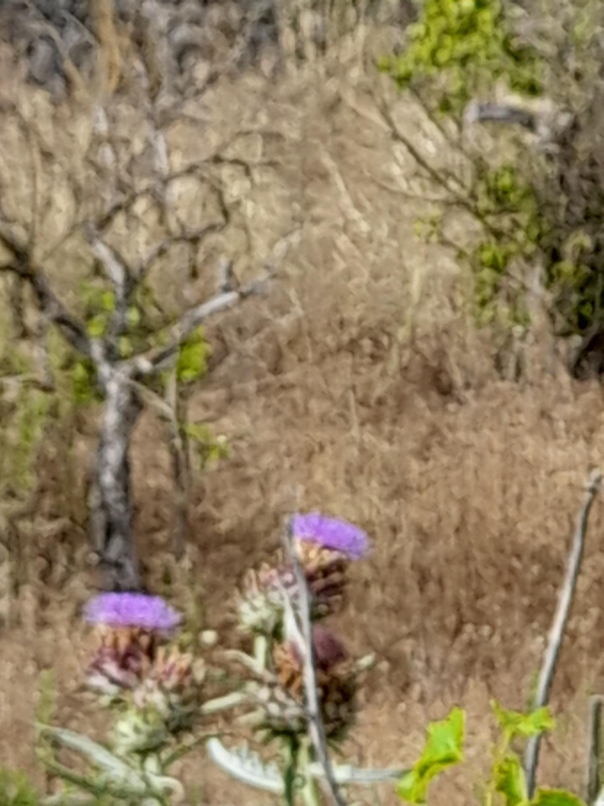 Property main view 19