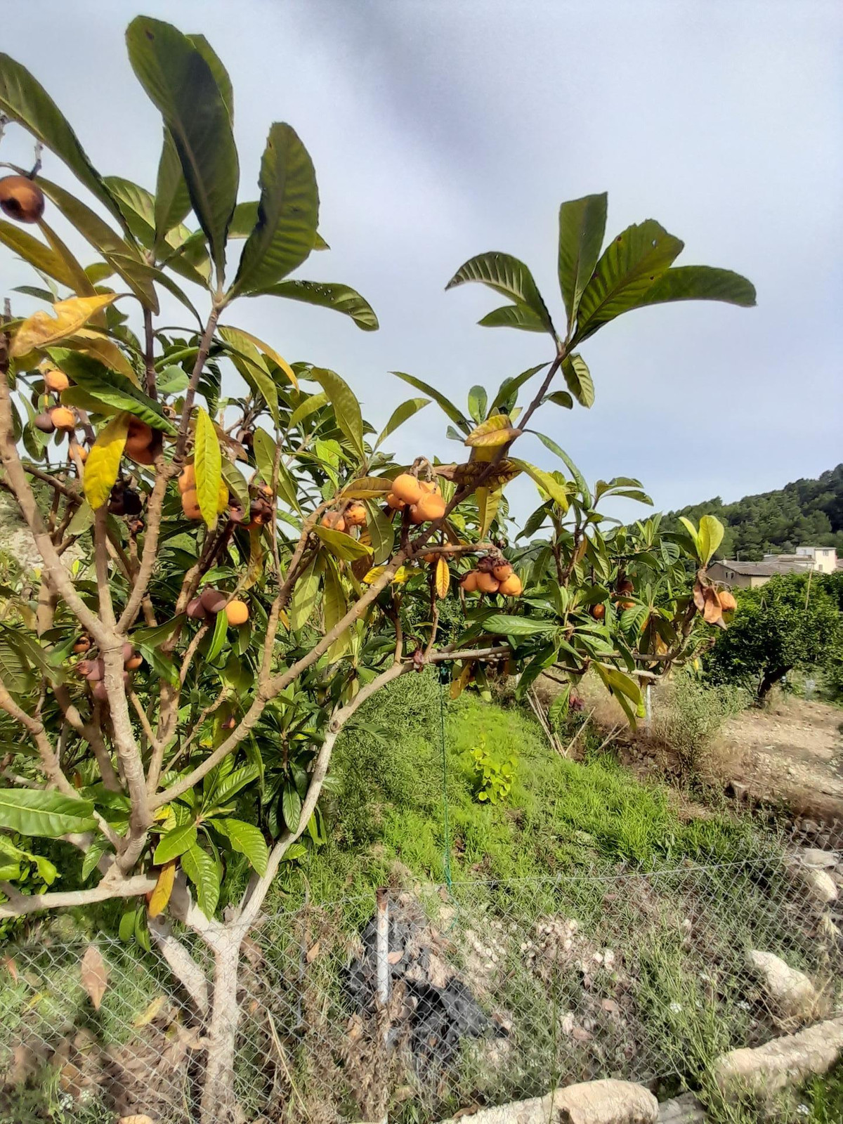 Property main view 20