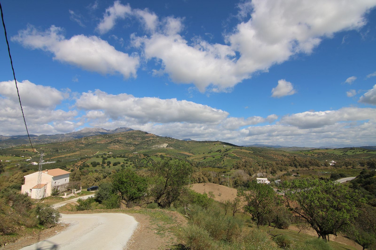 Property main view 11