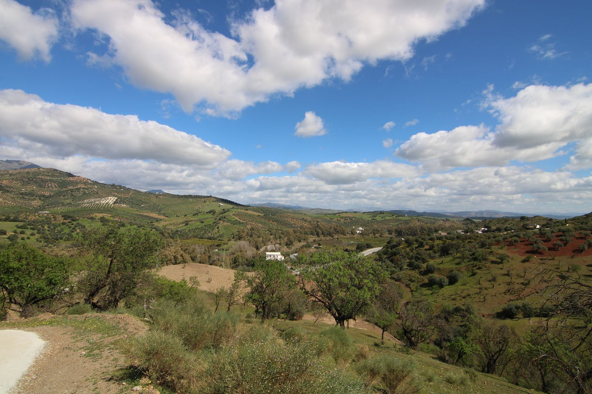 Property main view 12