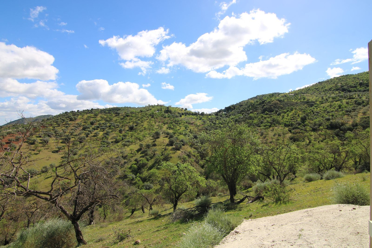 Property main view 13