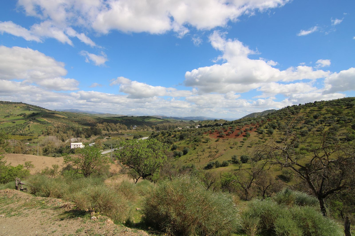 Property main view 16