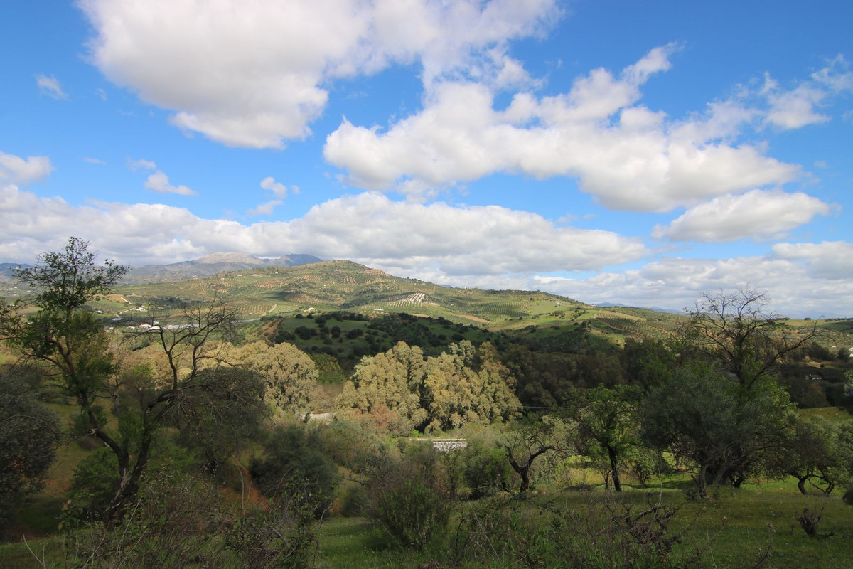 Property main view 18