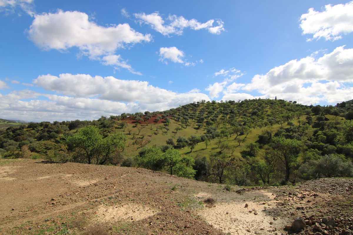 Property main view 6