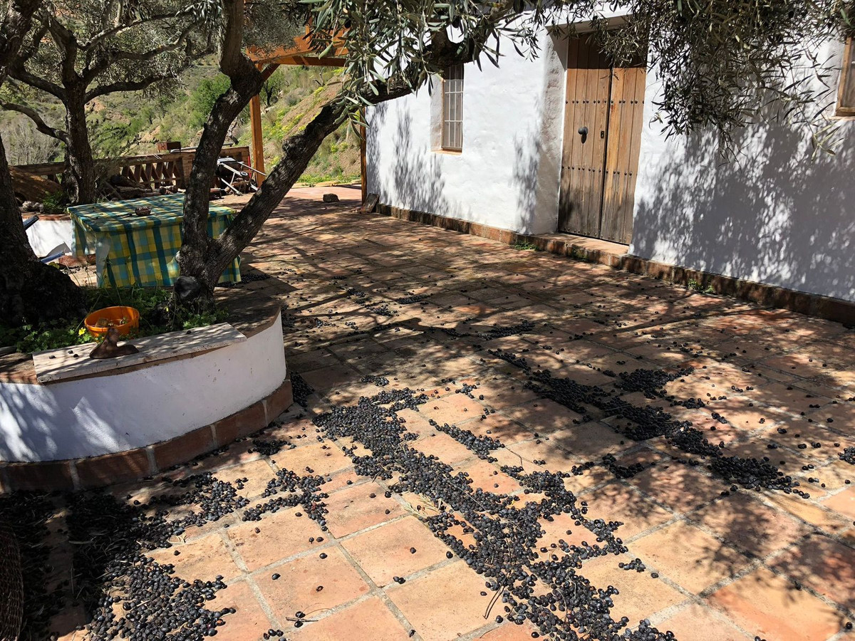 Property main view 10