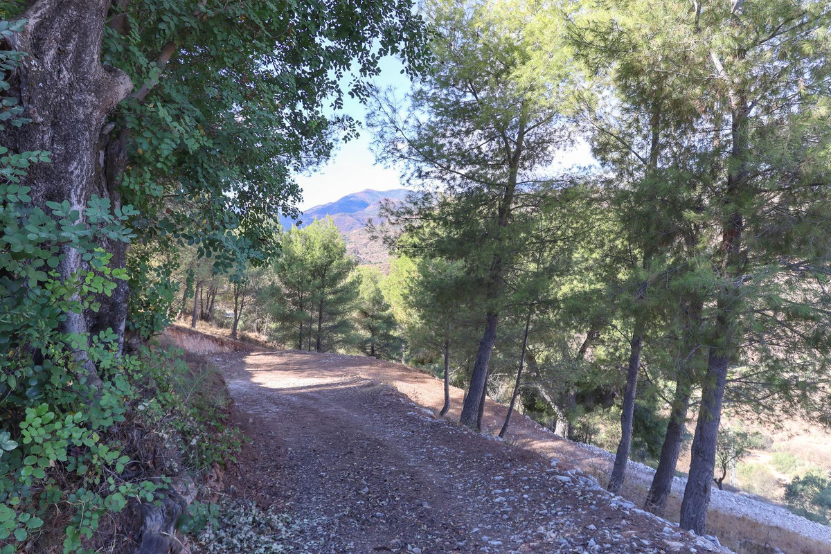 Property main view 3