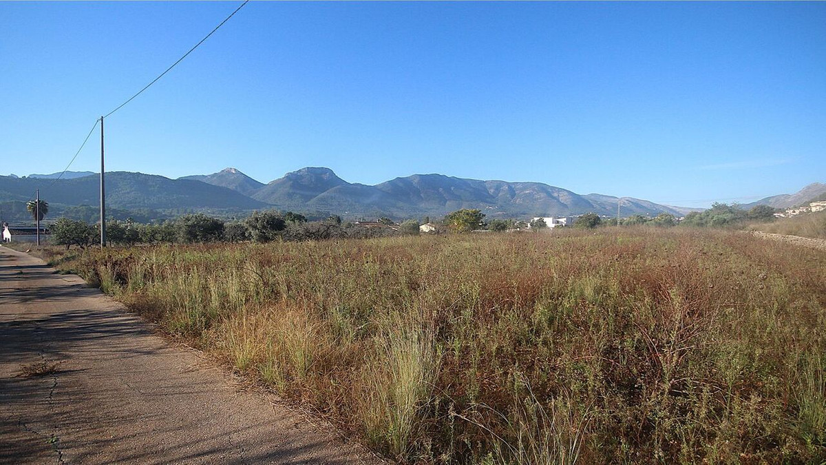 Percelen te koop in Jalon | 0 slaapkamers H5236861