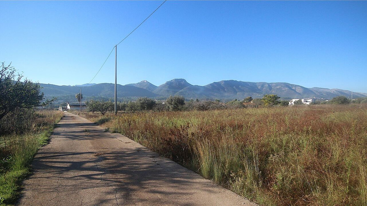 Percelen te koop in Jalon | 0 slaapkamers H5236861