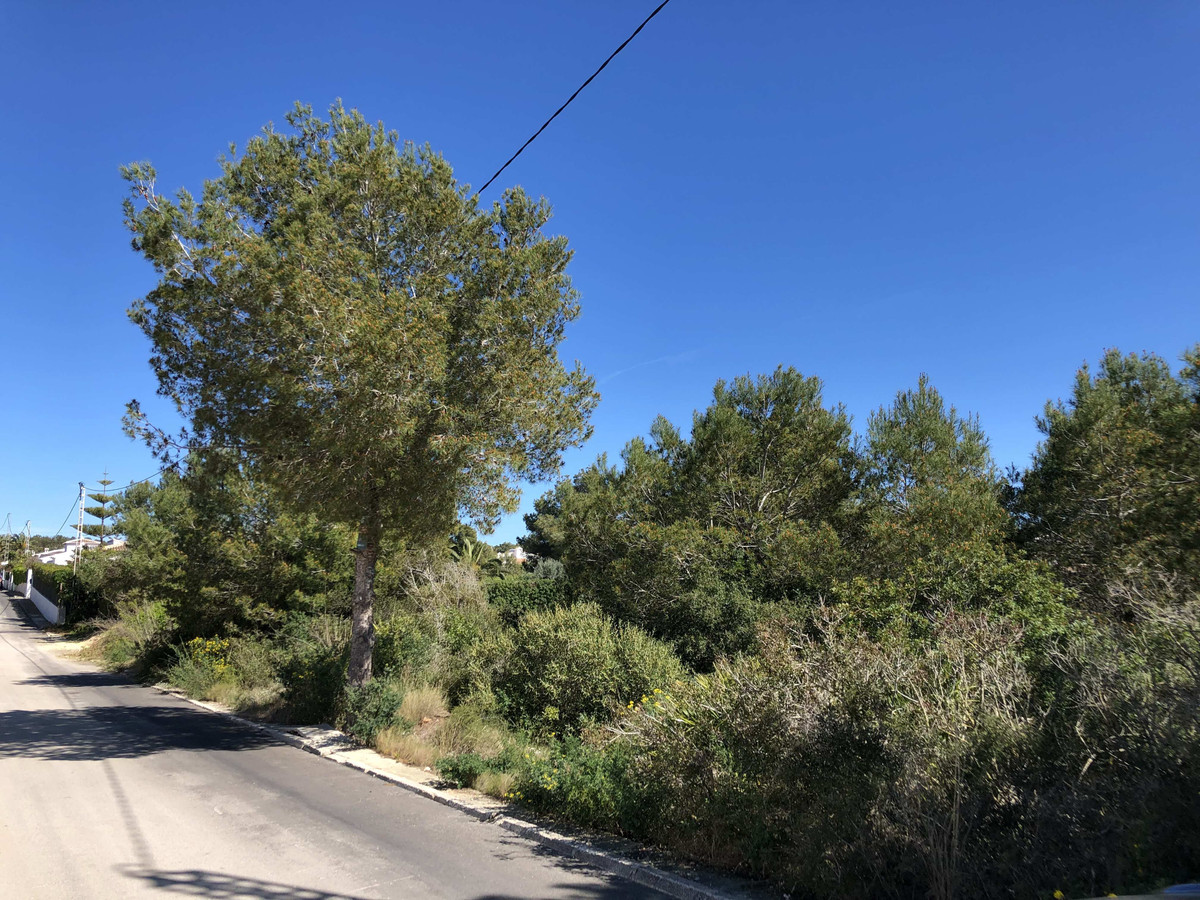 Property main view 4