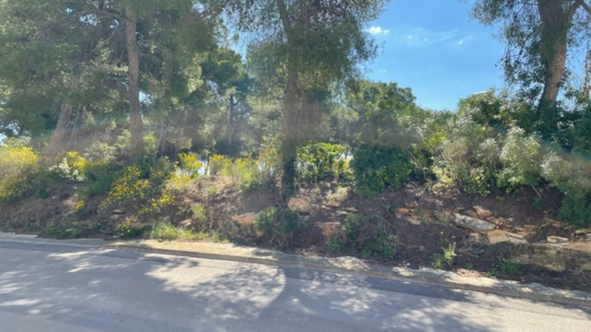 Property main view 2