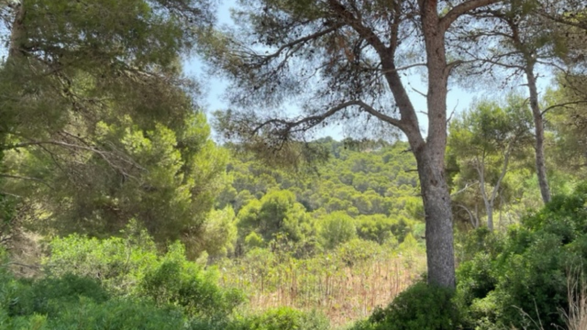 Property main view 3