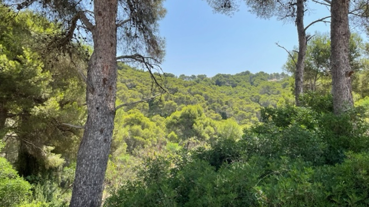 Property main view 2