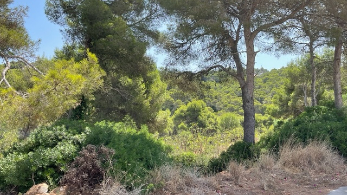 Property main view 3