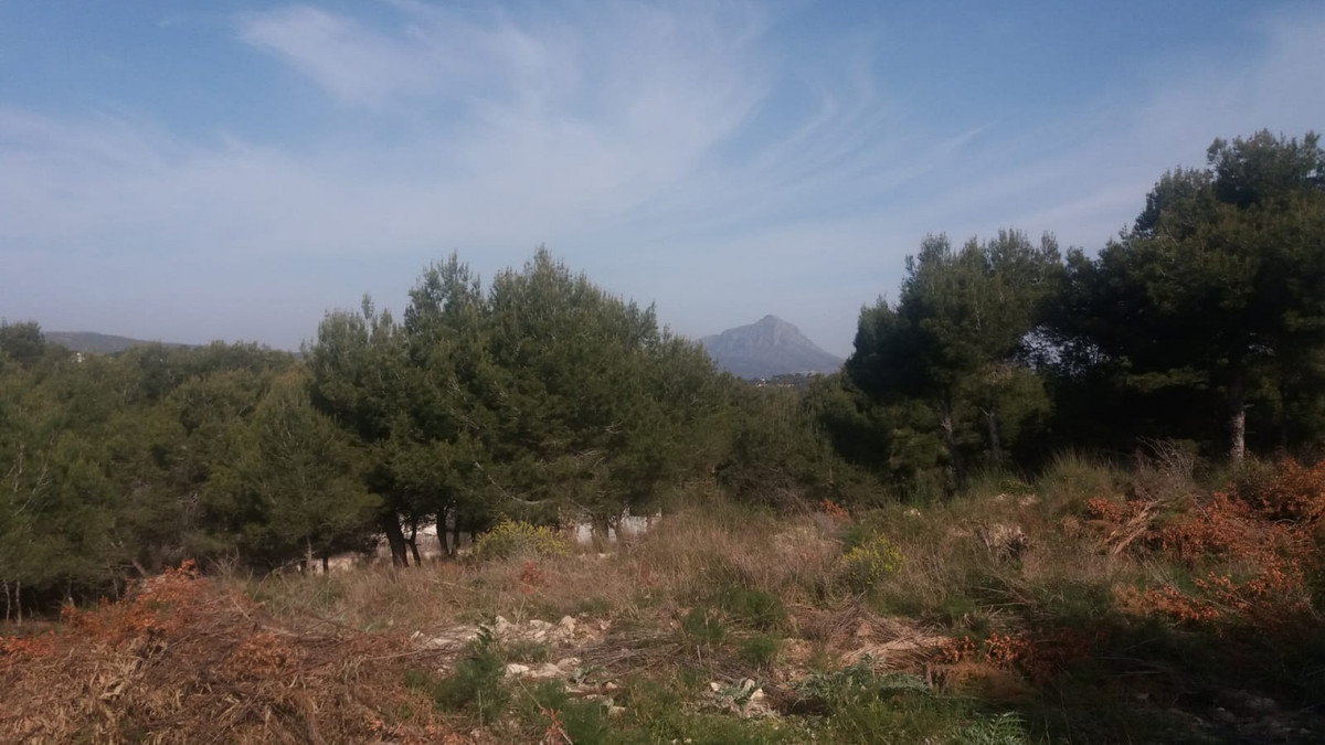 Property main view 6