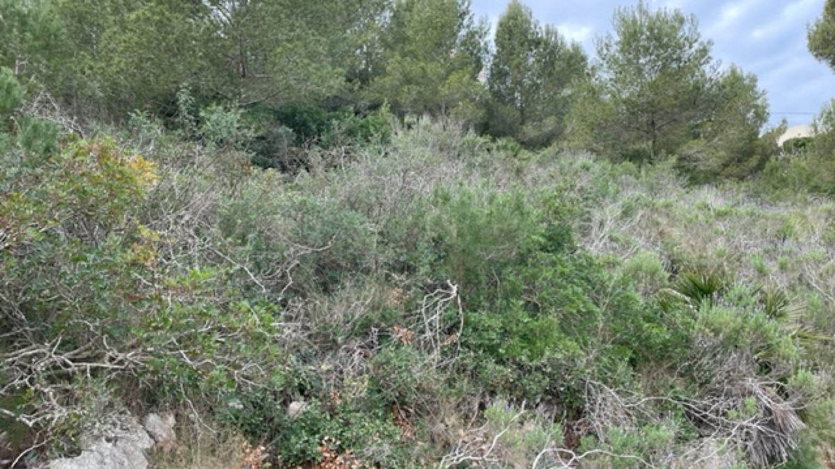 Property main view 2