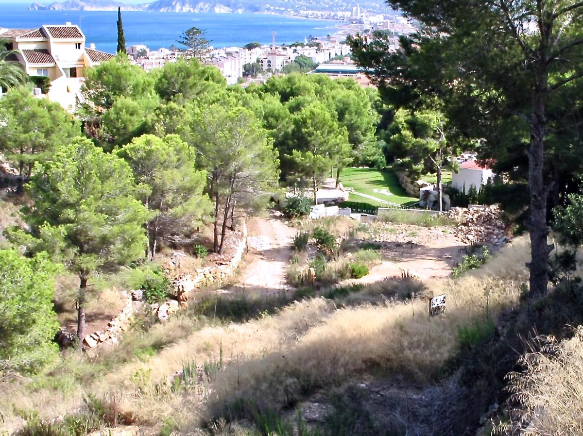 Property main view 2