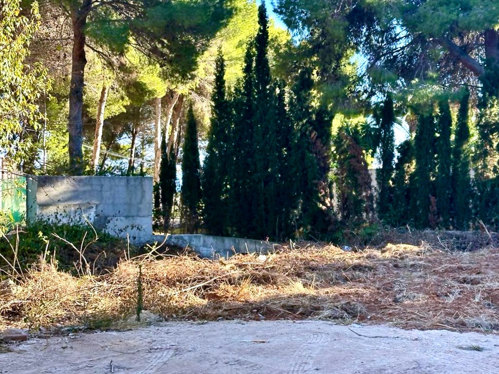 Property main view 6