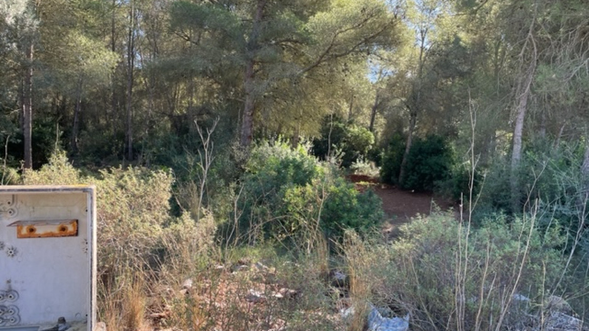 Property main view 3