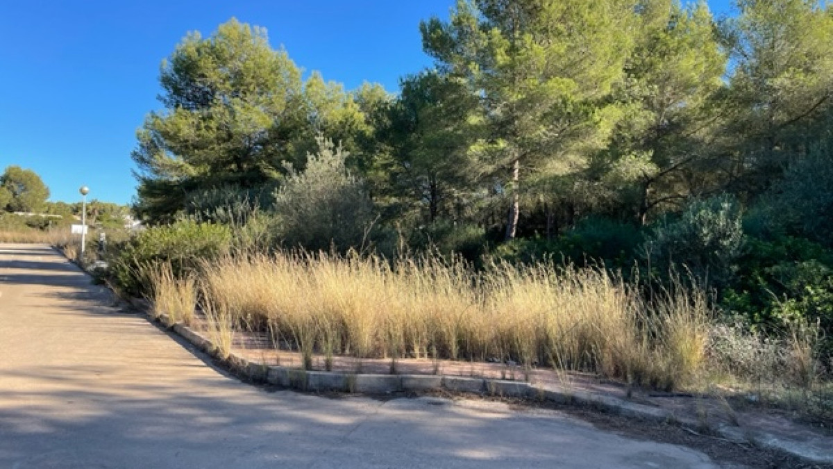 Property main view 4