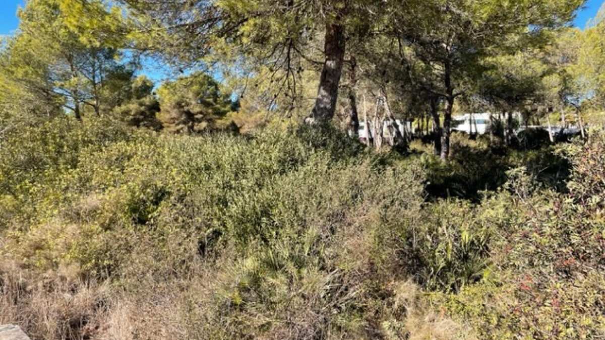 Property main view 3