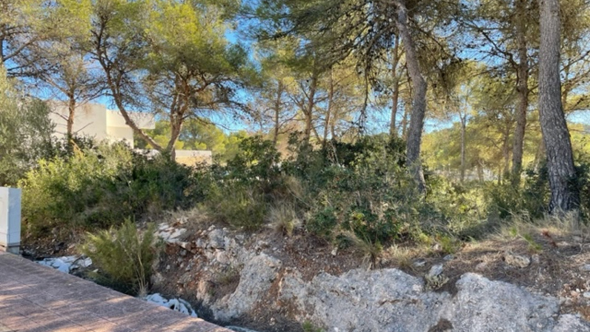 Property main view 2