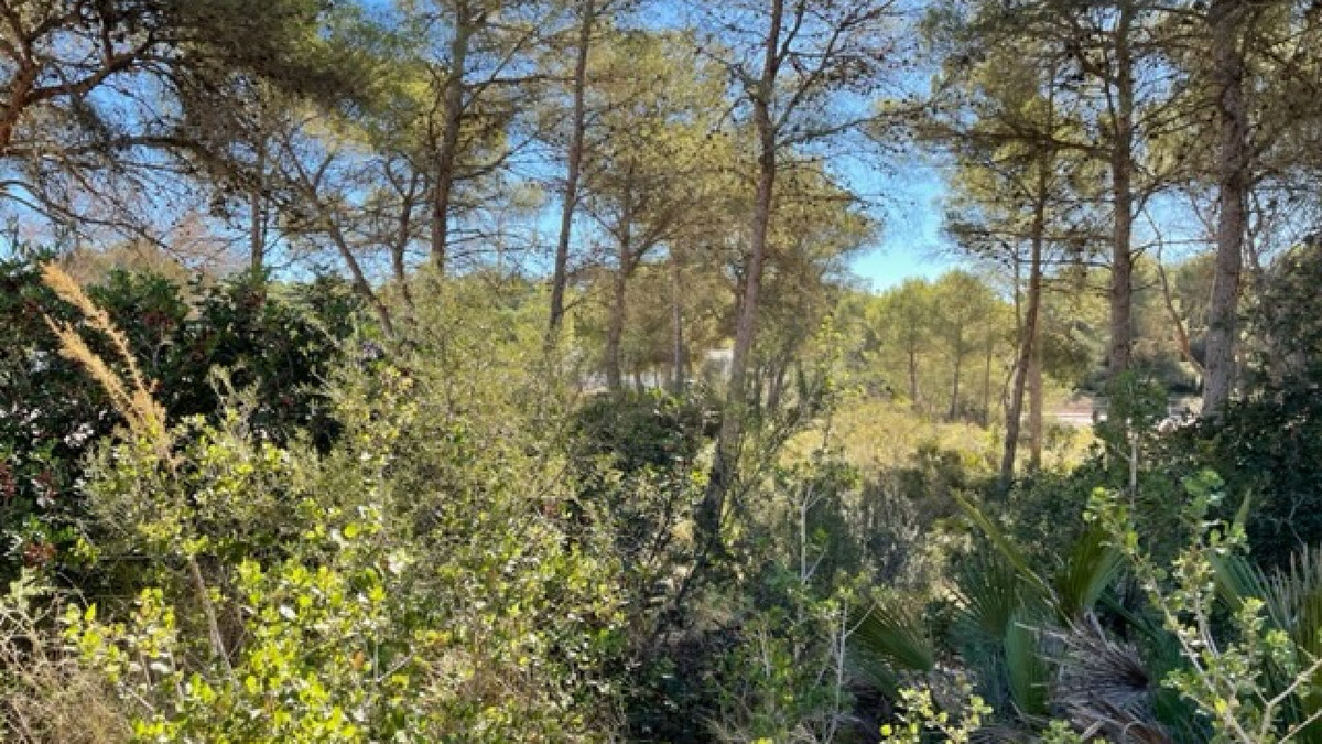 Property main view 3