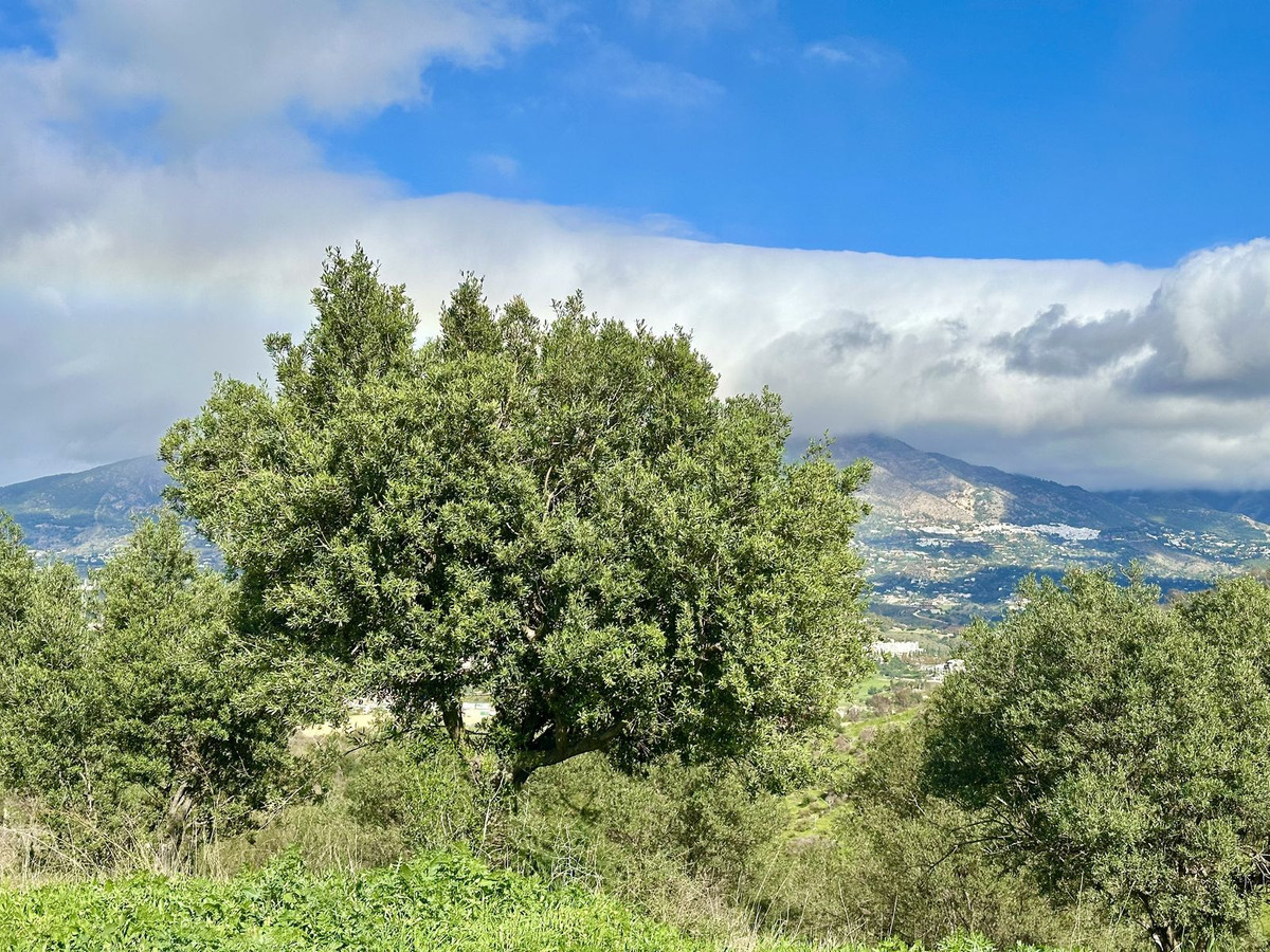 Property main view 22