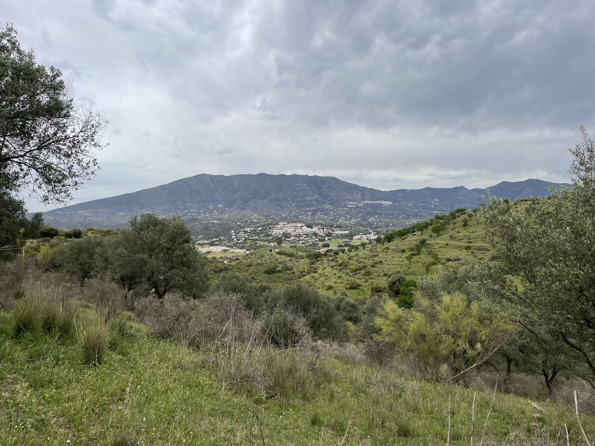 Property main view 25