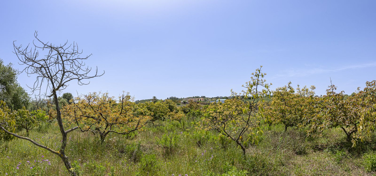 Property main view 27