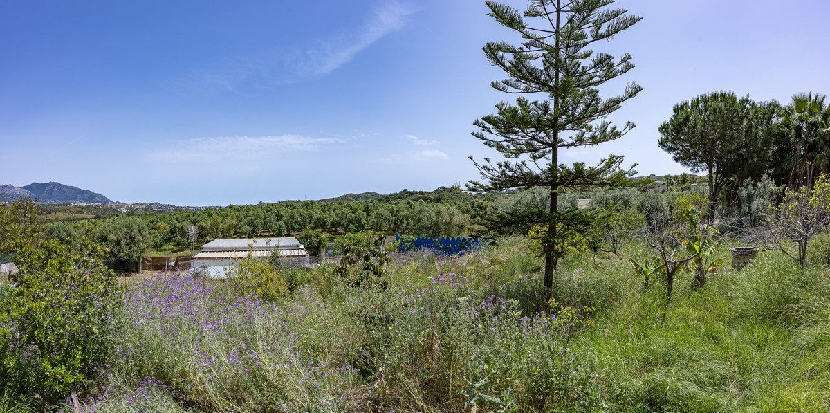 Property main view 29