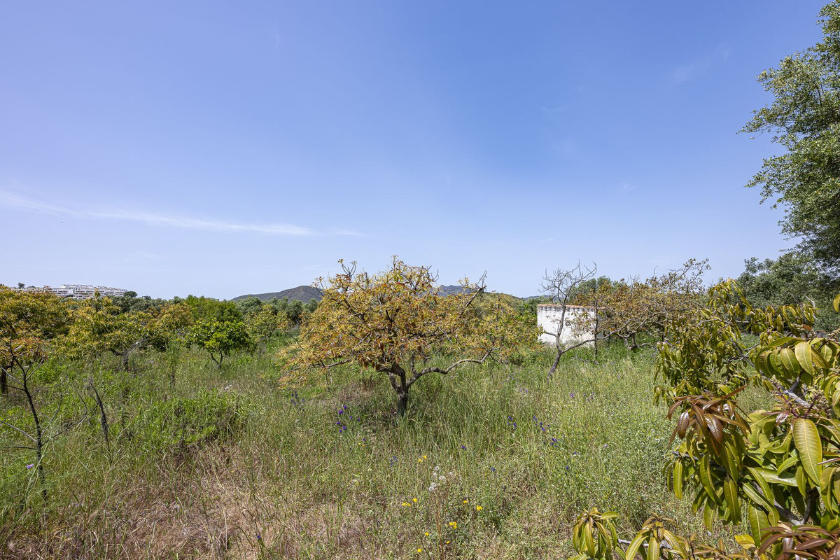 Property main view 30