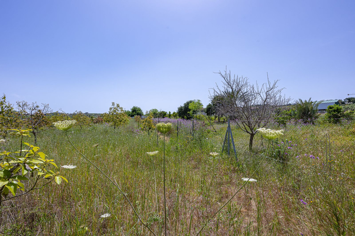 Property main view 31