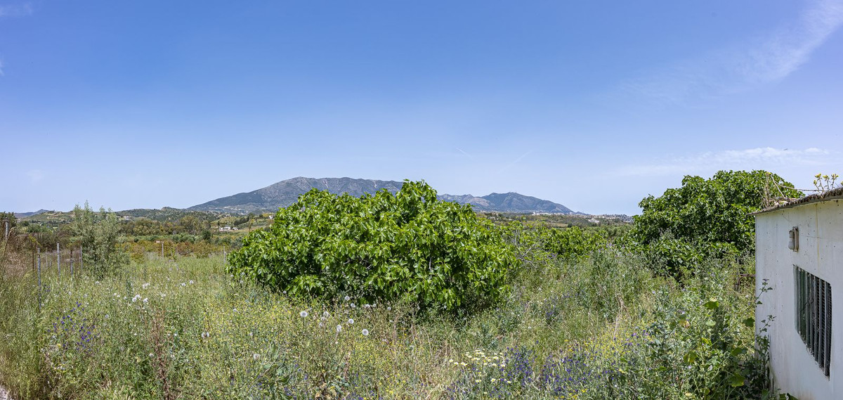 Property main view 36