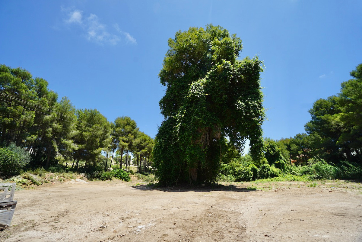 Property main view 5